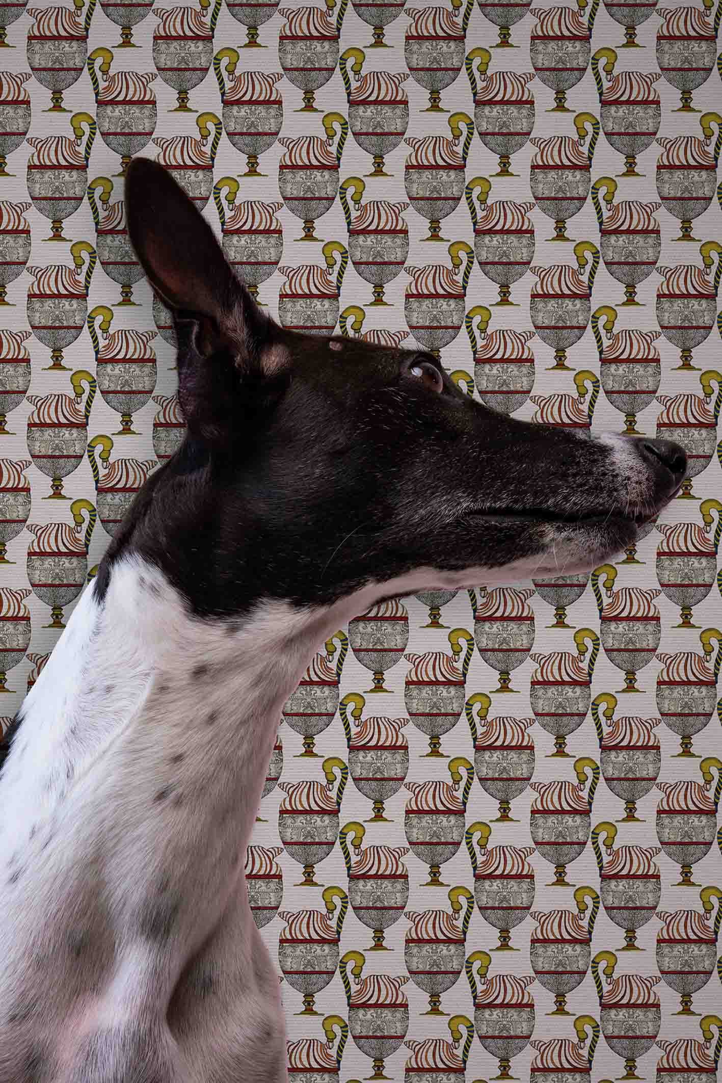 Carta-da-parati-Fontana-Arazzo-Cotone-MaVoix-Dog-Staging-2